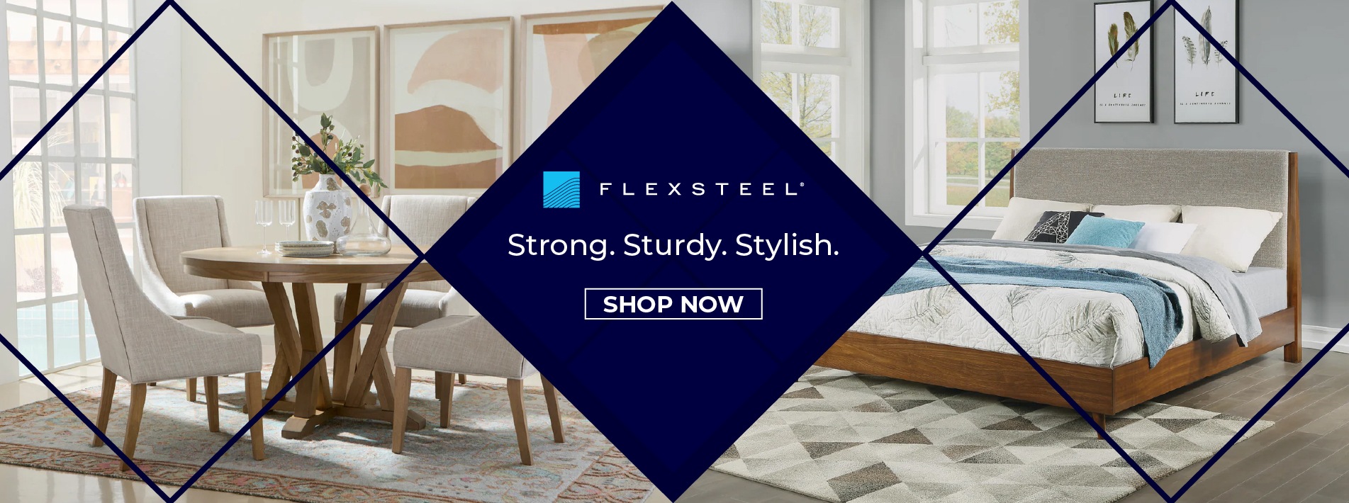 Flexsteel Generic Banner V2